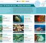 L'Ametlla de Mar dóna a conèixer la fauna i la posidònia de les cales amb panells subaquàtics - 02/07/2013