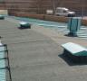 Reparen la teulada del Mercat Municipal - 21/03/2014