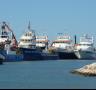 Les tonyineres tornen a casa pescant la quota amb un temps rècord - 30/05/2014