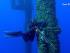 Diumenge Campionat de Pesca Submarina amb apnea