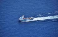 Les tonyineres capturen 2.600 tones de tonyina en menys d'una setmana