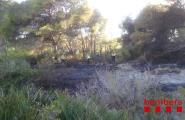 Els Bombers van extingir un petit incendi forestal a Calafat