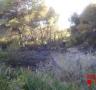 Els Bombers van extingir un petit incendi forestal a Calafat - 18/07/2016