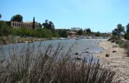 Llum verda a la recuperació ambiental del port natural de l'Estany a la tardor