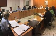 El ple aprova un pla de sanejament des d'enguany fins al 2021