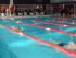 La natació calera al Campionat Territorial amb aspiracions de podis