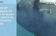 Menys quota de pesca