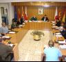 Ple ordinari - 25/03/2010