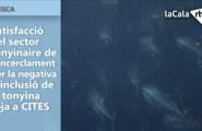Satisfacció del sector tonyinaire de l'encerclament per la negativa d'inclusió de la tonyina roja a CITES