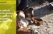 6a edició de la prova de rastre a l'Ametlla de Mar