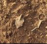 Es troben restes de 200 a.C. a l'Ametlla de Mar - 05/08/2011