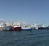 La Federació Nacional dóna suport a la Confraria i Cepesca als tonyinaires en el conflicte del Grup Balfegó - 11/05/2012