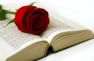 Sant JoLes roses i llibres protagonistes a la Cala per Sant Jordi