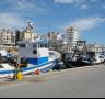 Les barques d'arrossegament estaran aturades fins al 30 de juny - 03/05/2013