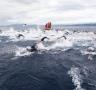 Torna l'emoció de la natació en aigües obertes amb la Tuna Race - 03/05/2013