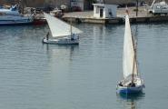 L'Ametlla acull dissabte la VIII Trobada de Vela Llatina al Golf de Sant Jordi