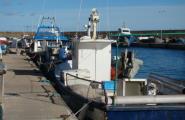 Les barques del sector de les arts menors podran capturar una tonyina