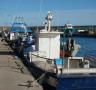 Les barques del sector de les arts menors podran capturar una tonyina - 12/07/2013