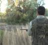 Les expectatives de la temporada de caça pendents de la mixomatosi - 23/08/2013