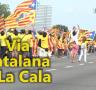 Els trams de la Via Catalana a la Cala superen les expectatives d'ocupació - 12/09/2013