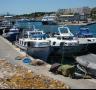 Les embarcacions de l'arrossegament de la Cala en aturada biològica després d'una bona temporada - 08/05/2014
