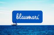 Blaumarí 144