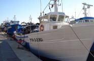 Les barques d'arrossegament han tornat a la mar