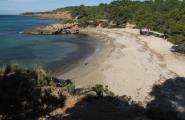 7 distintius de Platges Verges