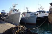 La Confraria de Pescadors de la Cala sí vol fer la veda