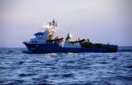 Balfegó reclama el tancament de fronteres a la tonyina roja de Turquia