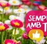 Sempre amb tu - 10 - 29/10/2015