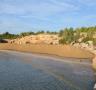 Ecologistes en Acció estudia denunciar la regeneració de les platges caleres - 21/12/2015