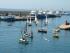 Xa Trobada de Vela Llatina del Golf de Sant Jordi a l'Ametlla de Mar