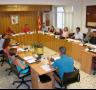 Ple Ordinari - 24/07/2015