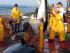 La patronal pesquera espanyola reclama que es puguin pescar fins a 30.000 tones de tonyines l'any vinent
