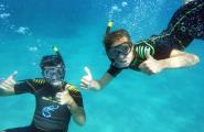 L'Ametlla de Mar intentarà batre el Record Guinness de més gent fent snorkel alhora per primer cop a la història
