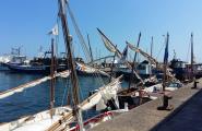 Èxit de la XI Trobada de Vela Llatina