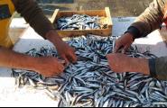 El sector de l'encerclament torna a la mar