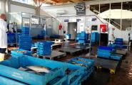 La Confraria de Pescadors instaura un nou sistema de gestió de recollida de caixes de peix