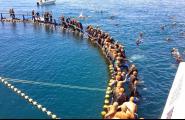 Arriba una nova edició de la Tuna Race Balfegó