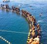 Arriba una nova edició de la Tuna Race Balfegó - 28/04/2017