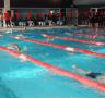 La natació calera al Campionat Territorial amb aspiracions de podis - 05/05/2017