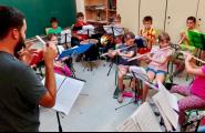 Els amants de la música poden escollir aquest estiu entre una vintena de cursos