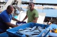 L'arrossegament torna a la mar amb descens de captures i augment de preus