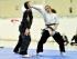 Demostració d'arts marcials de l'Escola Luelmo Kenpo Studios